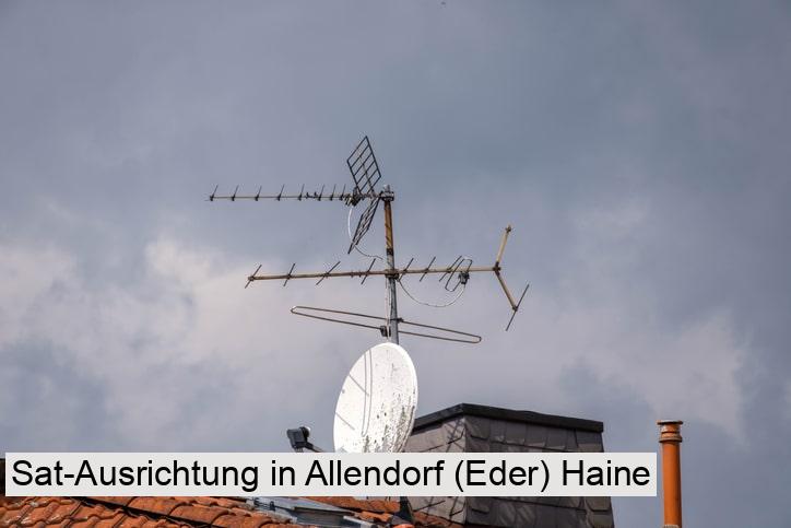 Sat-Ausrichtung in Allendorf (Eder) Haine