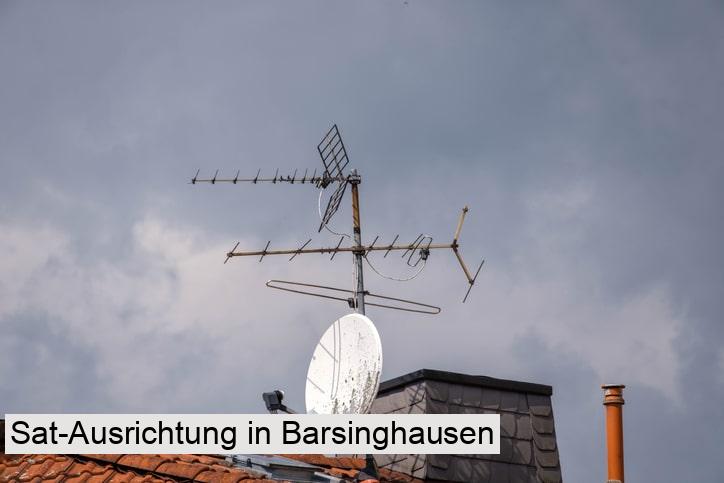 Sat-Ausrichtung in Barsinghausen