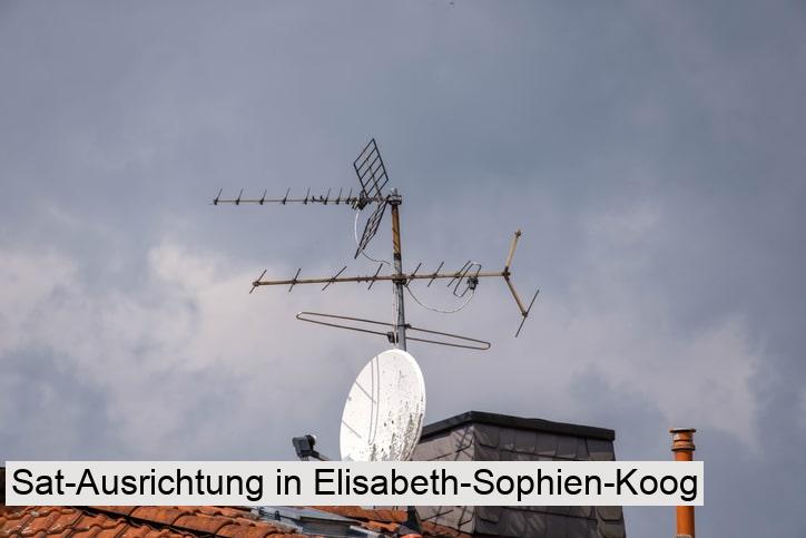 Sat-Ausrichtung in Elisabeth-Sophien-Koog
