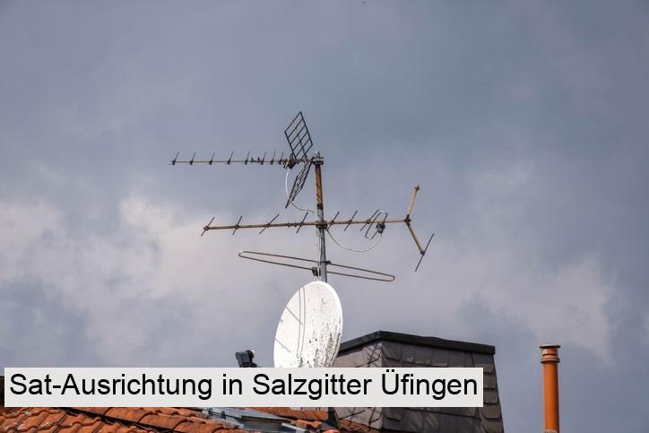 Sat-Ausrichtung in Salzgitter Üfingen