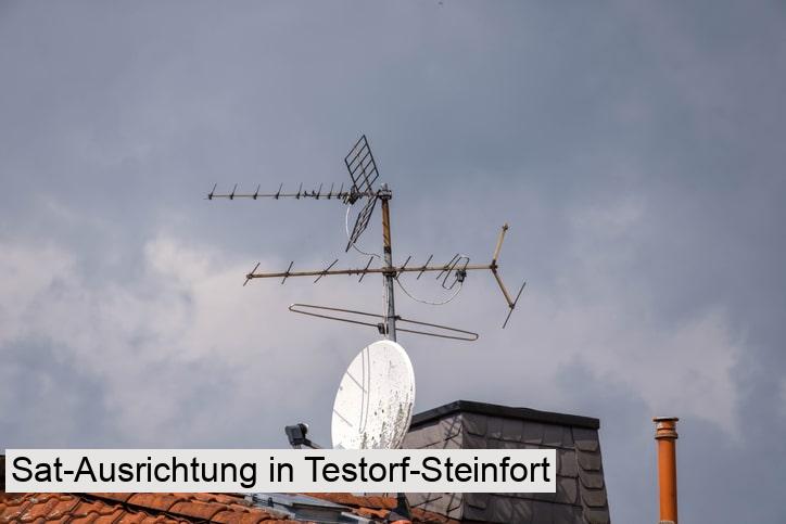 Sat-Ausrichtung in Testorf-Steinfort