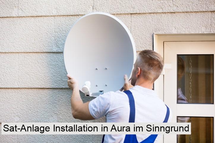 Sat-Anlage Installation in Aura im Sinngrund